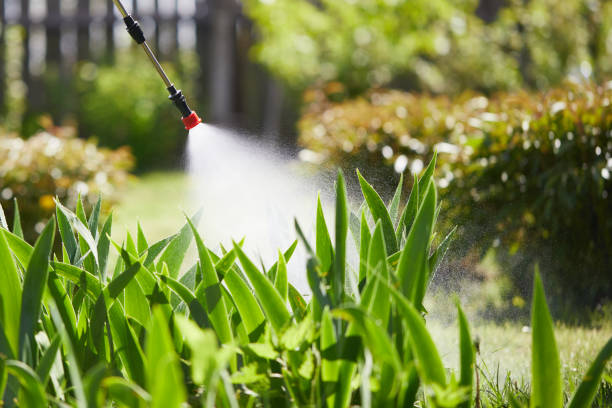 24/7 Emergency Rodent Control experts in McElhattan, PA